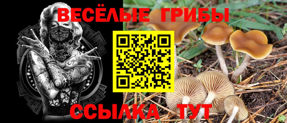 Галлюциногенные грибы прущие грибы  Галлюциногенные грибы мухоморы  Златоуст  Вход с VPN 